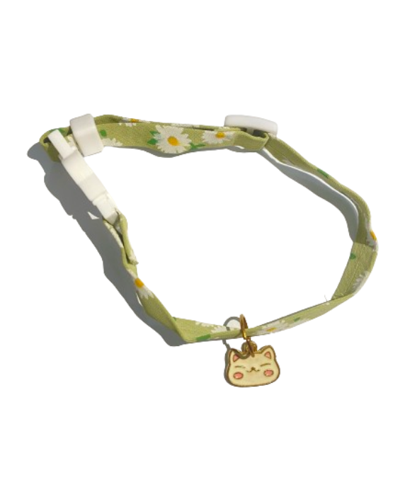 Cat Collars