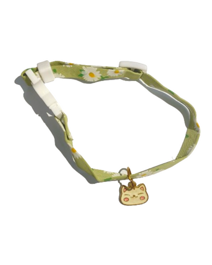 Cat Collars